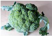  RAW FOODS FOR JUICE